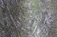 Shenleybury fibreglass roof work